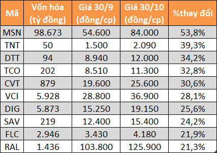 10 cổ phiếu tăng - giảm mạnh nhất sàn chứng khoán tháng 10 - Ảnh 2.