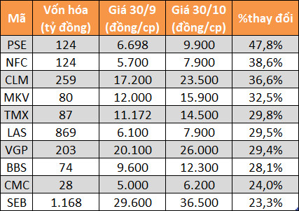 10 cổ phiếu tăng - giảm mạnh nhất sàn chứng khoán tháng 10 - Ảnh 3.