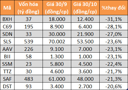 10 cổ phiếu tăng - giảm mạnh nhất sàn chứng khoán tháng 10 - Ảnh 6.