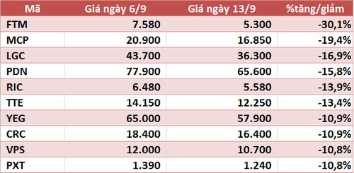 10 cổ phiếu tăng/giảm mạnh nhất tuần: Ấn tượng nhóm ngân hàng, FTM tiếp tục mò đáy - Ảnh 2.