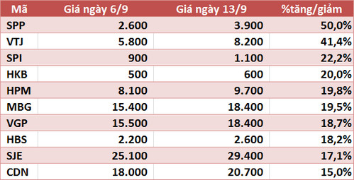 10 cổ phiếu tăng/giảm mạnh nhất tuần: Ấn tượng nhóm ngân hàng, FTM tiếp tục mò đáy - Ảnh 3.
