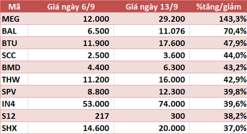 10 cổ phiếu tăng/giảm mạnh nhất tuần: Ấn tượng nhóm ngân hàng, FTM tiếp tục mò đáy - Ảnh 5.