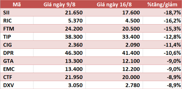 10 cổ phiếu tăng/giảm mạnh nhất tuần: Có mã gần gấp đôi - Ảnh 2.