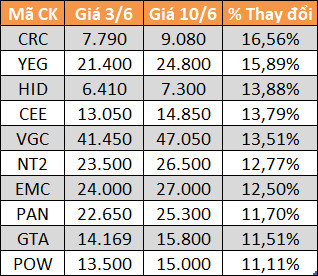 10 cổ phiếu tăng/giảm mạnh nhất tuần: Nhiều mã đầu cơ lao dốc - Ảnh 1.