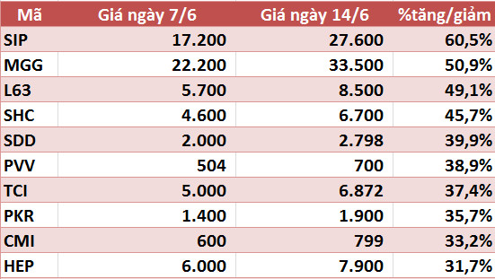 10 cổ phiếu tăng/giảm mạnh nhất tuần: Nhóm vừa và nhỏ vẫn hút dòng tiền - Ảnh 5.