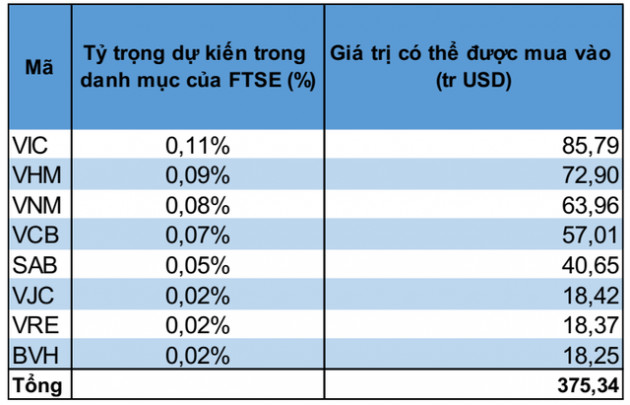 1,2 tỷ USD vốn ngoại sẽ đổ vào những cổ phiếu nào khi Việt Nam được nâng hạng lên thị trường mới nổi? - Ảnh 1.