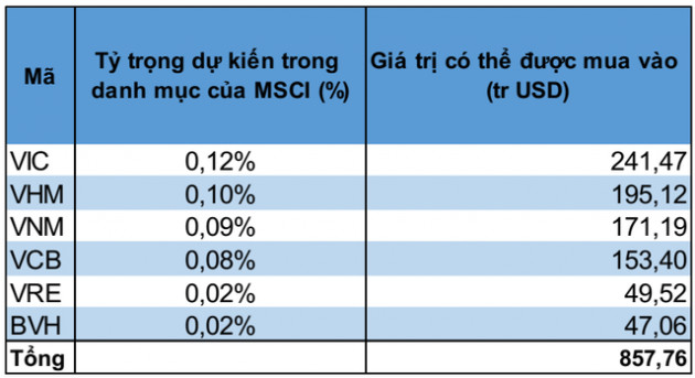 1,2 tỷ USD vốn ngoại sẽ đổ vào những cổ phiếu nào khi Việt Nam được nâng hạng lên thị trường mới nổi? - Ảnh 2.