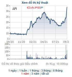 2 cổ đông lớn đã tạm lãi xấp xỉ 50% sau 1 tuần đầu tư cổ phiếu API - Ảnh 1.