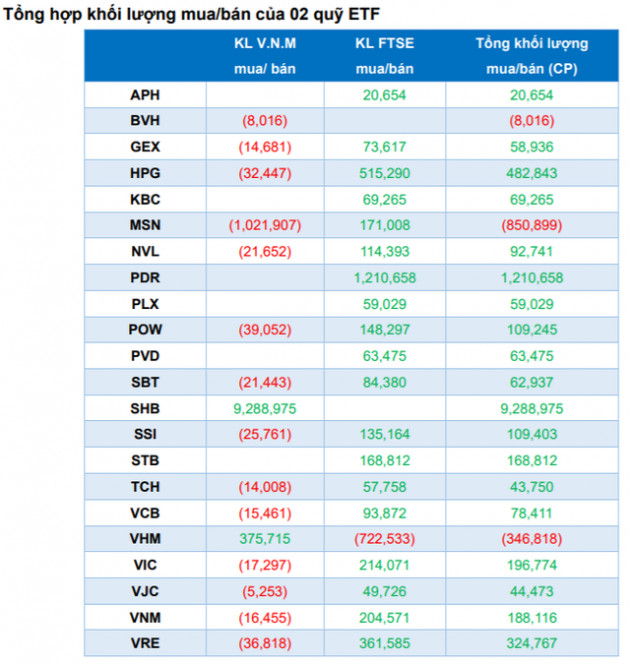 2 quỹ ETF ngoại với quy mô 900 triệu USD sẽ cơ cấu danh mục ra sao trong tháng 3? - Ảnh 2.