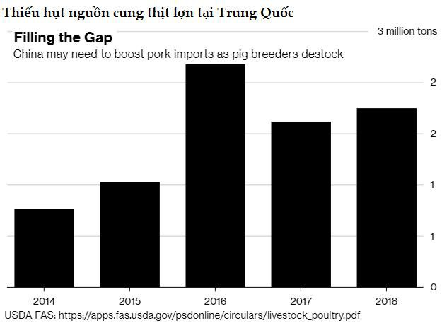 2019 có thể là năm đại khủng hoảng của ngành thịt lợn Trung Quốc - Ảnh 2.