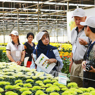 27 năm trước từng bị gọi là "điên" khi đưa nhà kính về Việt Nam, nhưng nhờ người đàn ông này Đà Lạt đã biến thành thủ phủ hoa của cả nước