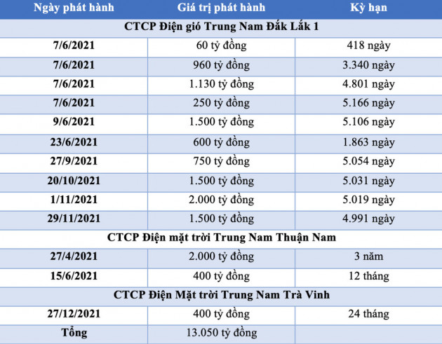  2.700 tỷ đồng trái phiếu đổ về Trung Nam Group trong nửa năm - Ảnh 1.