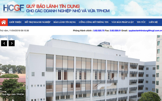 3 sếp ở Quỹ Bảo lãnh tín dụng TP HCM làm liều - Ảnh 1.