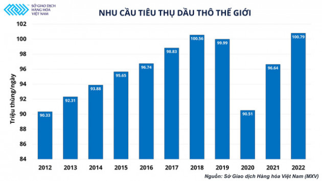 3 tổ chức lớn nhất dự đoán nhu cầu dầu sớm đạt mức cao nhất mọi thời đại - giá dầu thế giới sẽ đi về đâu? - Ảnh 2.