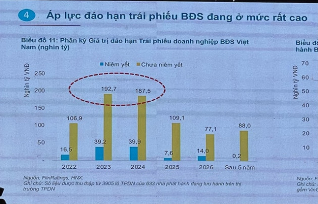 305.000 tỷ đồng trái phiếu doanh nghiệp BĐS đáo hạn trong 3 năm tới, CEO FiinGroup chỉ ra 4 thách thức của thị trường - Ảnh 2.