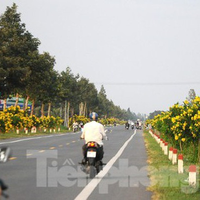 3.888 tỷ đồng mở rộng quốc lộ nối Cần Thơ - Hậu Giang