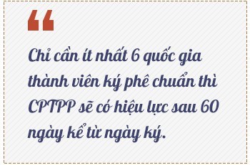 4 điểm khác biệt lớn giữa CPTPP và TPP - Ảnh 4.