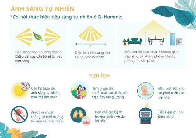 4 đòn bẩy để nhà đầu tư chọn lựa D-Homme - Ảnh 1.