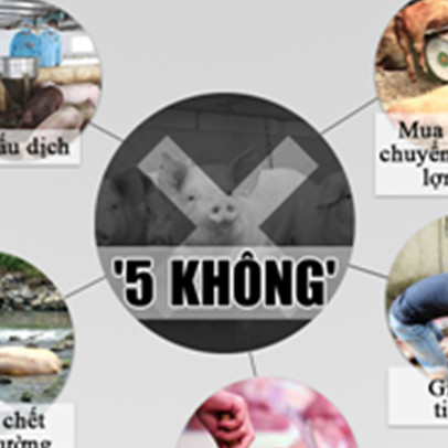 “5 không” và “10 cấm” trong phòng, chống dịch tả lợn Châu Phi