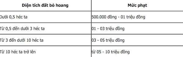 5 mức phạt mới về vi phạm đất đai bắt đầu có hiệu lực - Ảnh 2.