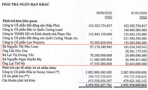 5 năm theo đuổi siêu dự án Phước Kiển: Quốc Cường Gia Lai một thời đình đám phải chật vật xoay vần vốn, thậm chí lãnh đạo chi tiền túi để hỗ trợ - Ảnh 1.