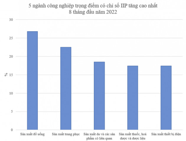 5 ngành công nghiệp trọng điểm có chỉ số sản xuất công nghiệp IIP tăng cao nhất 8 tháng đầu năm 2022 - Ảnh 1.