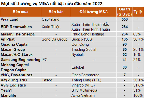 5 tỷ đô cho các thương vụ M&A nửa đầu năm tại Việt Nam được góp mặt bởi những tay chơi nào? - Ảnh 3.