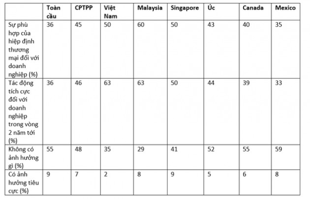 63% doanh nghiệp Việt kỳ vọng ảnh hưởng tích cực từ CPTPP - Ảnh 1.
