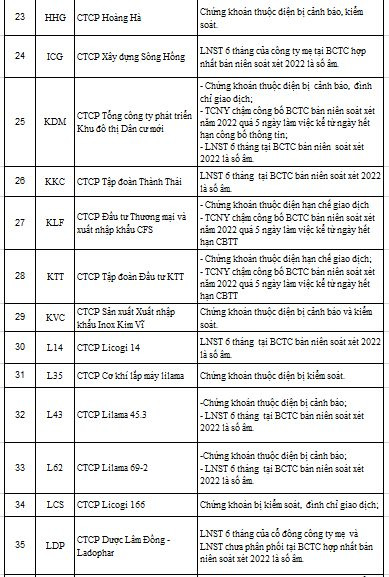 88 mã chứng khoán bị HNX cắt margin quý 1/2023 - Ảnh 3.