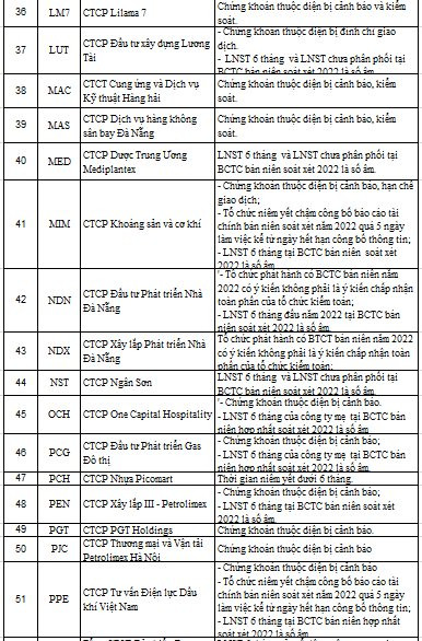 88 mã chứng khoán bị HNX cắt margin quý 1/2023 - Ảnh 4.