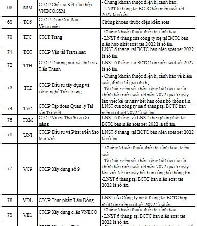 88 mã chứng khoán bị HNX cắt margin quý 1/2023 - Ảnh 6.