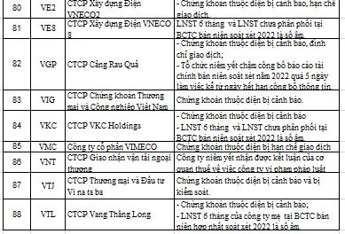 88 mã chứng khoán bị HNX cắt margin quý 1/2023 - Ảnh 7.