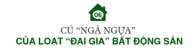 9 dấu ấn bất động sản 2022: Từ sốt nóng cục bộ đến bất ngờ đảo chiều trầm lắng - Ảnh 11.