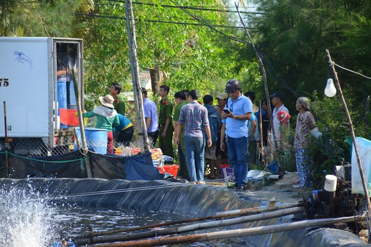 900.000 con tôm chết bất thường, dân nghi bị đầu độc - Ảnh 1.