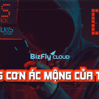 Ác mộng DDoS của hầu hết các website TMĐT - Nỗi đau không của riêng ai