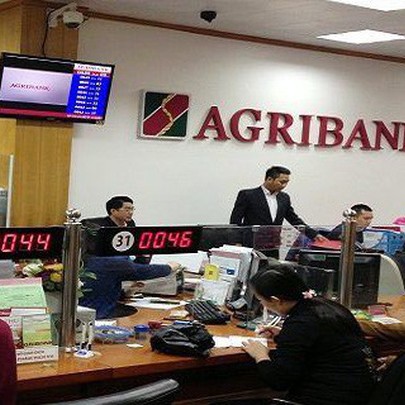 Agribank đấu giá tài sản của Khoáng sản Miền Trung với giá 284 tỷ đồng