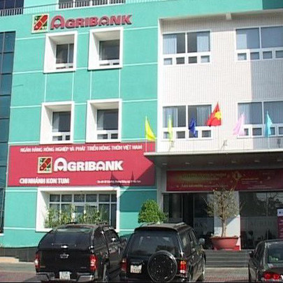 Agribank lại rao bán Nhà máy thủy điện Đăk Mek 3, hạ giá 25%