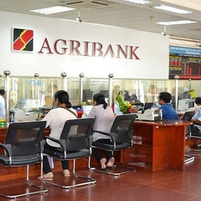 Agribank rao bán 123 tấn thuốc bảo vệ thực vật để thu nợ