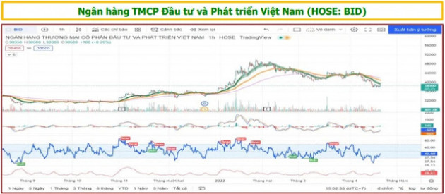 Agriseco điểm tên 5 cơ hội đầu tư cổ phiếu tốt đang bị bán quá đà - Ảnh 2.