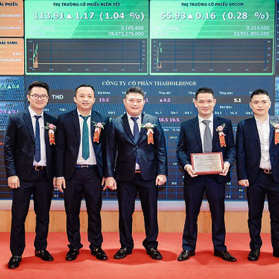 Ai sẽ là Chủ tịch ThaiHoldings?