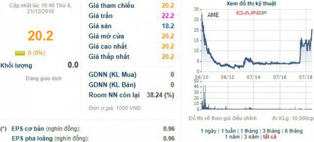 Alphanam E&C (AME) phát hành 13,2 triệu cổ phiếu tăng VĐL thêm 110% - Ảnh 2.