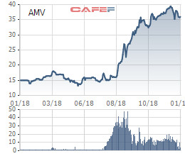 AMV báo lãi quý 4 đạt 122 tỷ đồng, nâng tổng LNST năm 2018 lên 219 tỷ đồng - Ảnh 1.