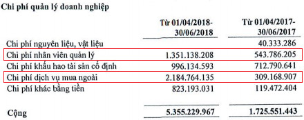 An Dương Thảo Điền (HAR): Lợi nhuận quý 2 sụt giảm mạnh, đầu tư 214 tỷ đồng vào Xà bông Cô Ba - Ảnh 1.