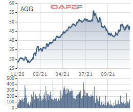 An Gia (AGG) thay đổi tỷ lệ phát hành cổ phiếu tăng vốn điều lệ từ 110% xuống còn 35% - Ảnh 1.