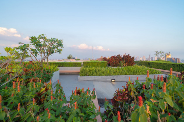 An Gia đầu tư Rooftop Garden rộng 4.000 m2 cho cư dân Westgate - Ảnh 1.