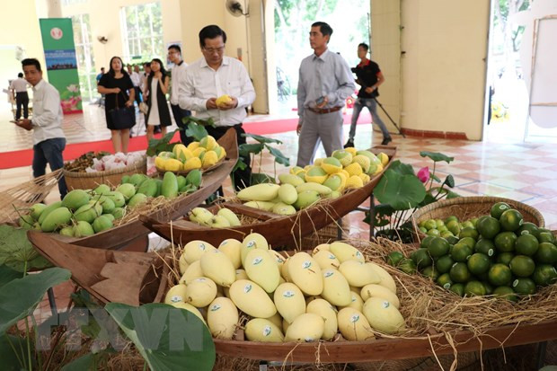 An Giang sẽ xuất khẩu xoài sang thị trường Mỹ trong tháng 6 - Ảnh 1.