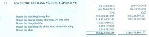 Angimex (AGM): 6 tháng lãi 20 tỷ đồng tăng 74% so với cùng kỳ - Ảnh 1.