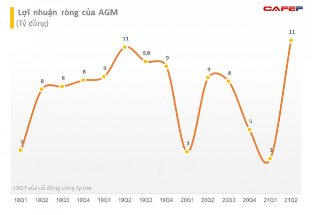 Angimex (AGM) bị HoSE nhắc nhờ về việc chi trả cổ tức năm 2020 - Ảnh 1.