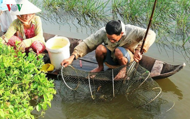 Ảnh: Đặc sản cua Cà Mau tăng giá mạnh trước Tết - Ảnh 5.