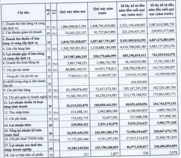 Ảnh hưởng bởi dịch tả lợn châu Phi, lợi nhuận 9 tháng của Dabaco giảm 81% so với cùng kỳ, hoàn thành 13% kế hoạch năm - Ảnh 1.